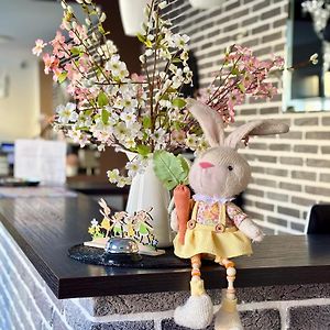 Hotel Shato Gesson